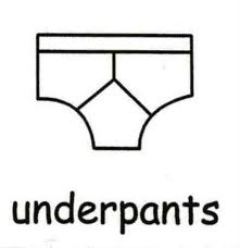 underpants