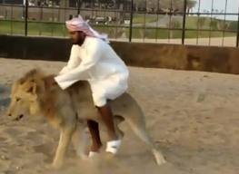 ride a lion