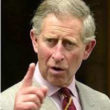 prince charles didgeridoo