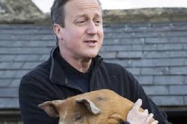 cameron-farmer